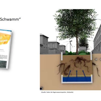Auszug aus der Präsentation des Planungsbüros: Informationen zum Konzept der Schwammstadt