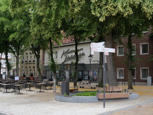 Das Fotos zeigt die Lindenreihe vor dem Kino am Brandplatz.